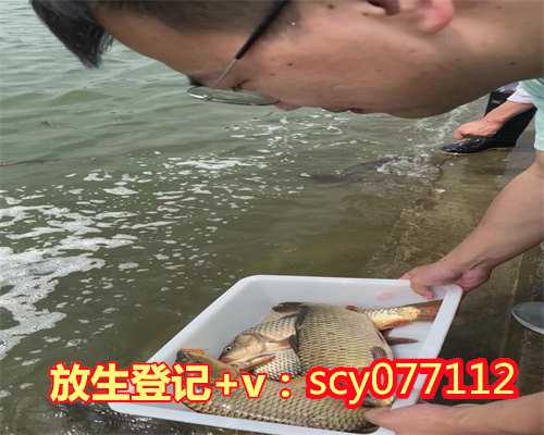 桂林八月初八放生，桂林长期放生老鳖的人面相，桂林人喜欢在哪里放生鱼