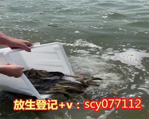 赣江在哪能放生虾，这是什么龟能放生到松花江里吗能在江里存活吗急~