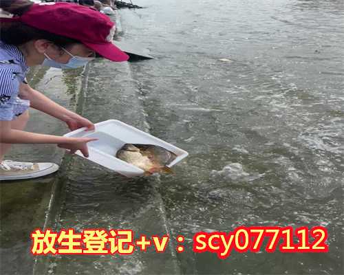 惠州公园放生蝌蚪惠州,惠州哪里能放生牛蛙【惠州一年一次放生的地方有哪些
