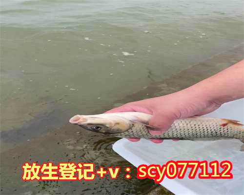 广州放生鱼哪里买，广州惊现僵尸鱼：鱼已煮熟，吃一口，鱼头动一下