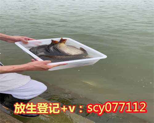 重庆放生的鱼一般在哪里买的，道坚法师荣膺重庆华岩寺方丈法语