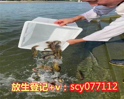 如何放生乌龟北京，北京哪里可以放生鳝鱼的地方【放生的需要念的经文有哪些