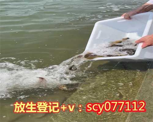 陕西放生黄鳝在哪里，陕西省老子书道研究会在西安成立