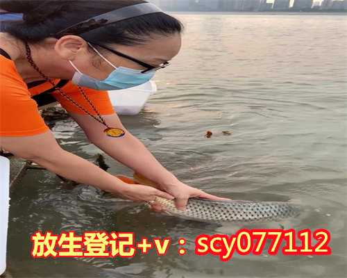 郑州放生蛤蟆在哪里，郑州市民在黄河边拍到鳄鱼或有人放生