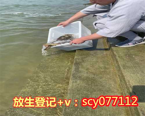 江西哪里可以放生鳖，江西樟树市放生特大型野生胭脂鱼在赣江发现尚属首次