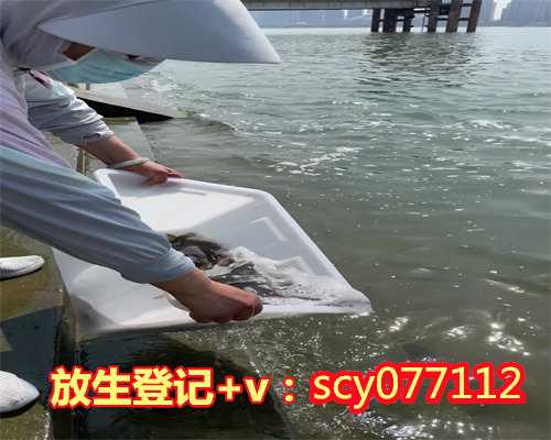 芜湖放生网，芜湖锦鲤可以放生吗，买鱼放生有啥讲究