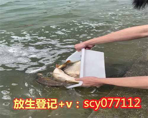 台州老黄历放生，台州哪里适合放生螺丝，台州放生鱼一般都从哪里买
