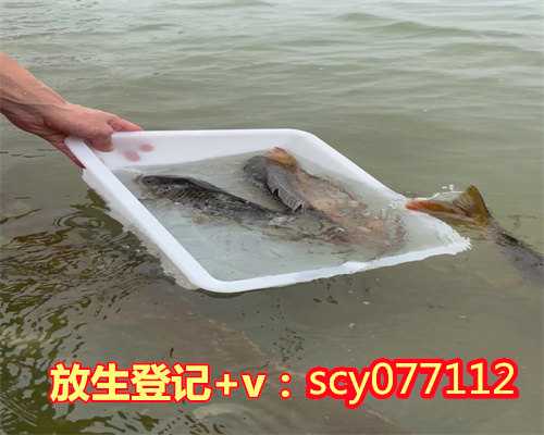 宁波放生红鲤鱼，宁波周边放生的地方，东北的冬天适合放生什么动物
