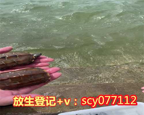 重庆放生的鱼从哪里买到的，重庆老人水库边捉到1米长娃娃鱼已放生